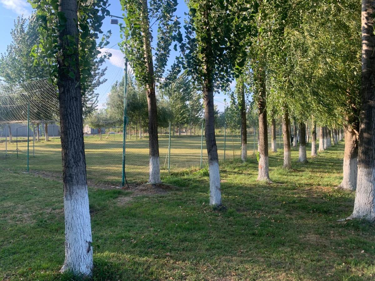 Gigios Sport&Relax Villa Bailesti Kültér fotó