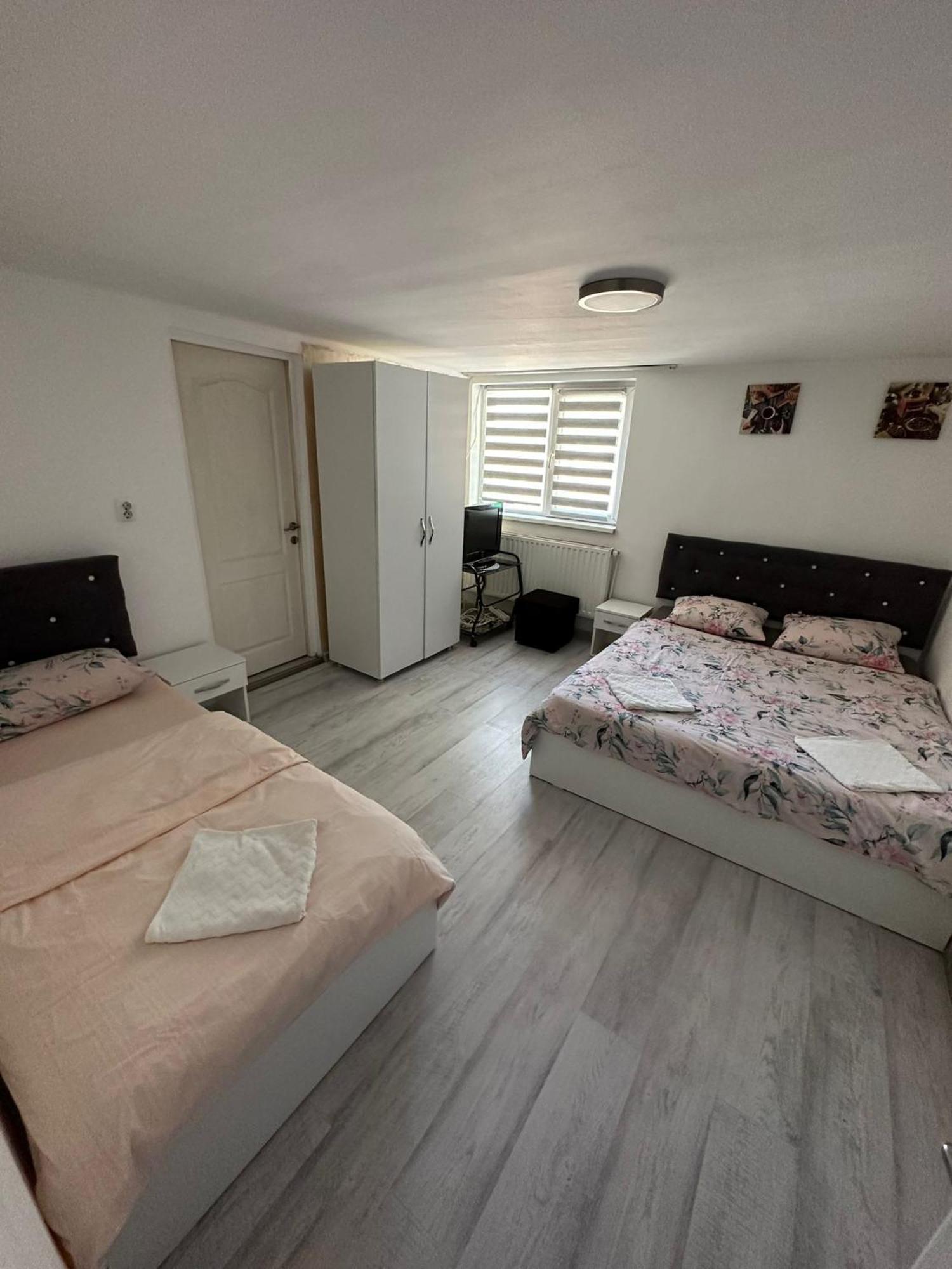 Gigios Sport&Relax Villa Bailesti Kültér fotó